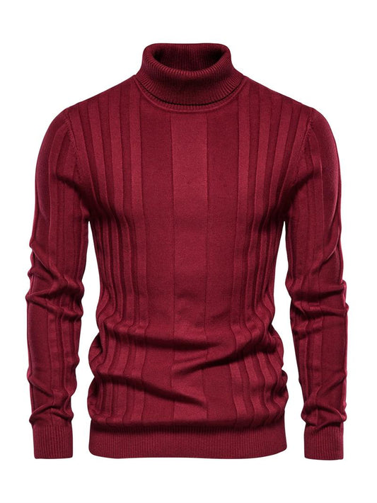 Men's Solid Turtleneck Sweater,Men's Knitwear for Daily Wear